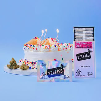 SELFiES — Ice Cream Cake