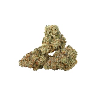 Alien Jelly by Fresh