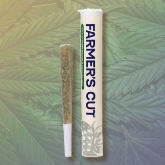 2000's Pop [1g] by Farmer's Cut