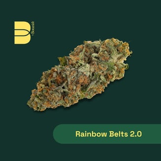 Rainbow Belts 2.0 by Botanist