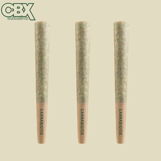 GM-Uhoh [1g] by CBX Cannabiotix