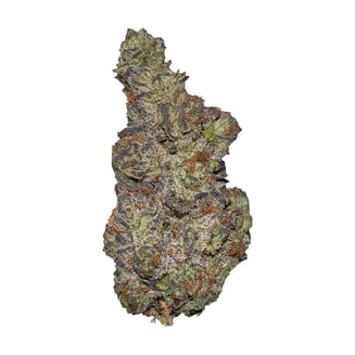 Queen of Tartz by Terp Town Collective