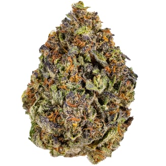 West Coast Cure: Sherbet Gas