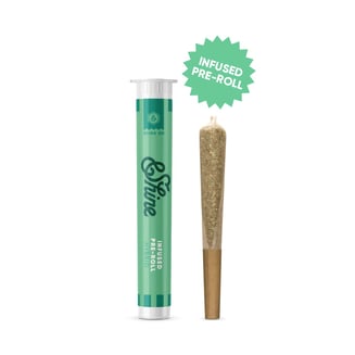 Afternoon Delight x Green Crack [1g] by &Shine