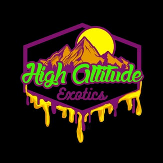Arcata Train Wreck by High Altitude Exotics