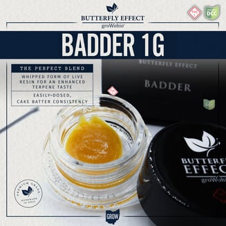 91 Royale by Butterfly Effect
