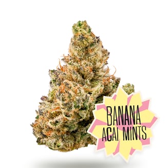 Shop Banana Punch | Green Goods - Frederick, MD (AU) Dispensary