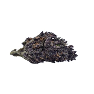 Solful Handpicked — Velvet Purps