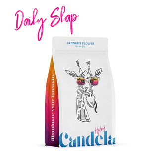 Daily Slap by Candela