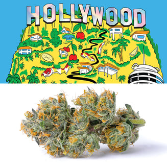 Cookies — Hollywood