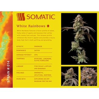 White Rainbows by Somatic