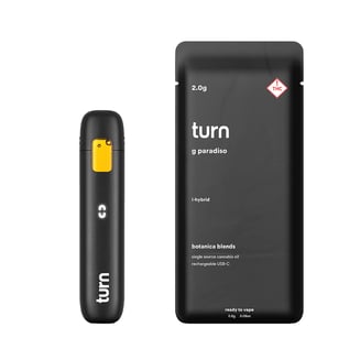 g paradiso [2g] by turn