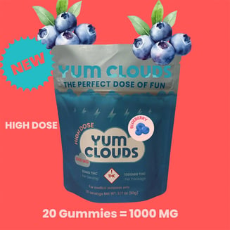 Blueberry [20pk] (1000mg) by Yum Clouds