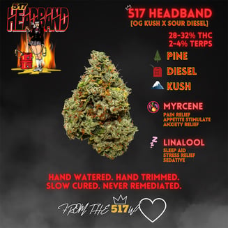517 Headband by Premier Cannabis Farms