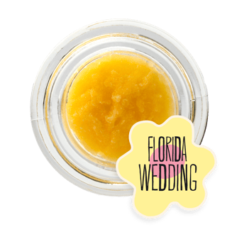 Florida Wedding by District Cannabis