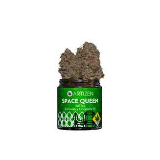 Space Queen by Artizen