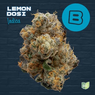 Lemon Dosi by Buckeye
