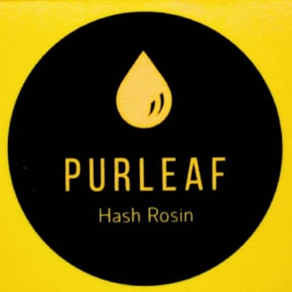 Paradise Punch by PurLeaf