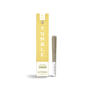 Timeless — Lemon Faderade