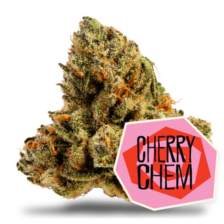 District Cannabis — Cherry Chem