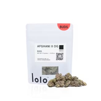 Afghani x OG by lolo