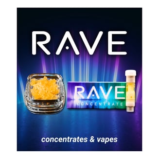 Zaza Grizz by Rave