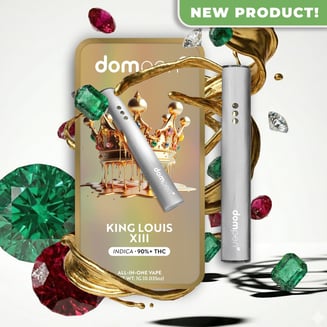 dompen: King Louis Xiii
