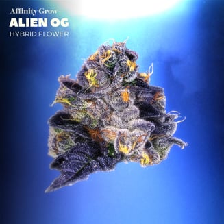 Alien OG Flower T33.82% H 01044 by Affinity Grow