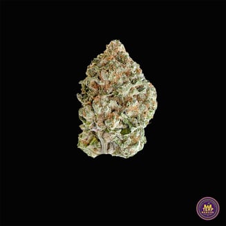 Nerdz by Terp Mansion