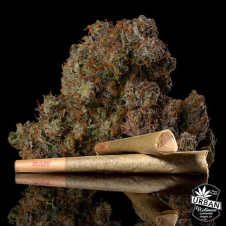 24K Gold [1g] by Urban Wellness