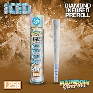 ICED — Rainbow Sherbet