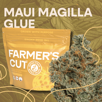 Maui Magilla Glue by Farmer's Cut
