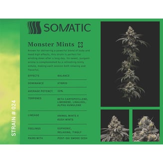 Monster Mintz by Somatic