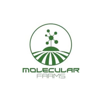 Crushed Ice by Molecular Farms