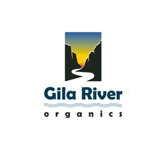 Vanilla Cream Pie by Gila River Organics