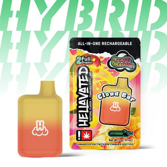 Hellavated: Mango Dragon