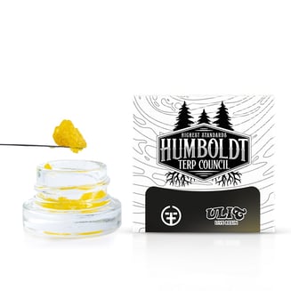 Humboldt Terp Council — Amarelo