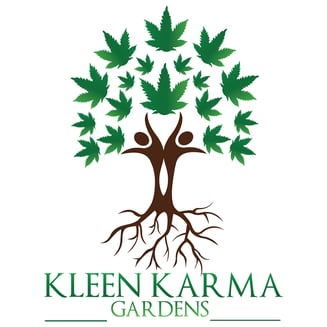 Nana's Fix by Kleen Karma Gardens