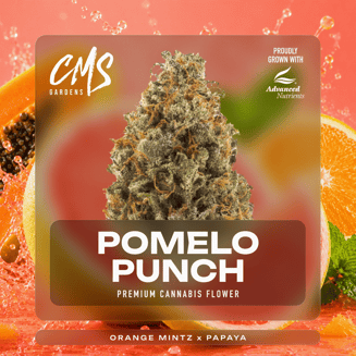 Pomelo Punch by CMS Gardens