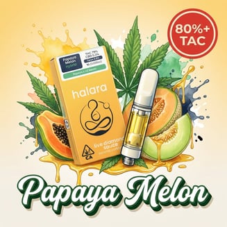 Halara — Papaya Melon