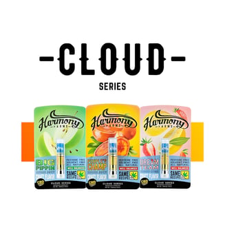 1:1 DREAM TEAM | Strawberry Lemonade