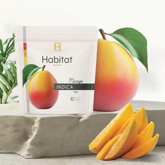 Mango [20pk] (100mg) by Habitat by Klutch