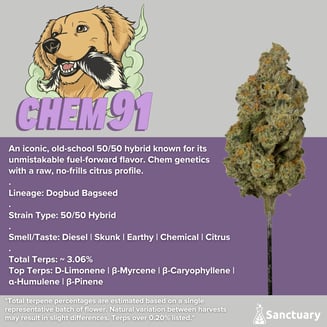 Whole Buds - Chem 91 by Sanctuary
