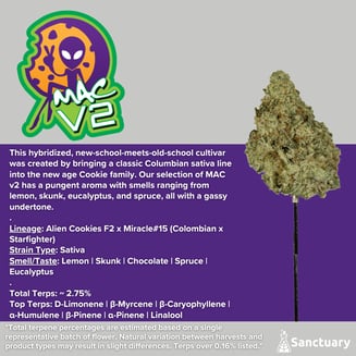 Whole Buds - MAC v2 by Sanctuary