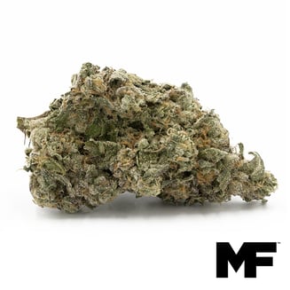Modern Flower — Gush Mints