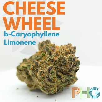 Cheese Wheel by Penn Health Group