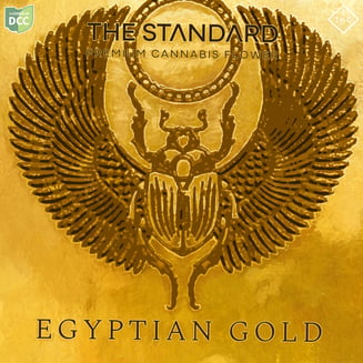 Egyptian Gold by The Standard