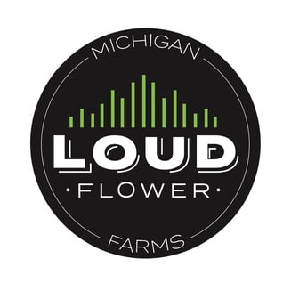 Apple Fritter by Michigan Loud Flower Farms