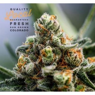 A1 Stank Sauce by Ascend Cannabis Co.