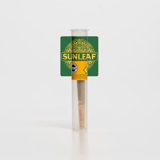 Casey Jones by Sunleaf